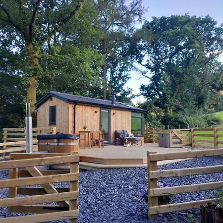 Ty Nant Gwenyn Villa Llanymawddwy Buitenkant foto